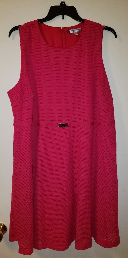 Pink Jennifer Lopez Dress